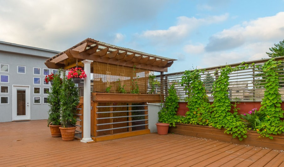 Modern residential deck with wooden pergola, privacy fencing, climbing vines, and potted flowers
